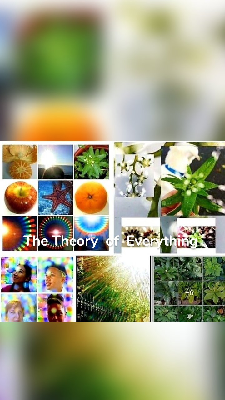 
The Theory  of  Everything